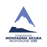 FMS logo alta definizione MINI