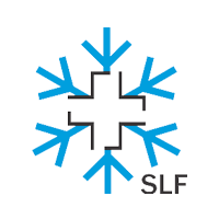 slf logo